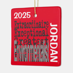 Environmentalist Extraordinaire CUSTOM Ceramic Ornament