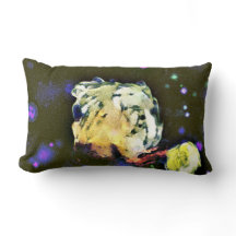 Envisionist: A Celestial Journey