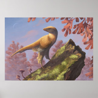 Eosinopteryx Print