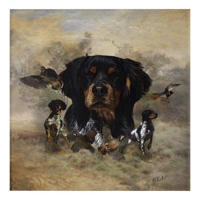 Epagneul Breton, Brittany Spaniel  Acrylic Print (Front)
