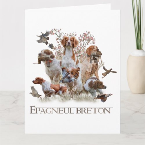 Epagneul Breton Brittany Spaniel   Card