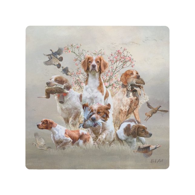 Epagneul Breton, Brittany Spaniel  Metal Print (Front)