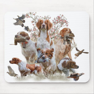 Epagneul Breton, Brittany Spaniel Mouse Pad