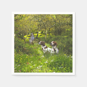 Epagneul Breton, Brittany Spaniel Napkins