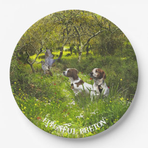 Epagneul Breton, Brittany Spaniel Paper Plates