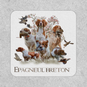 Epagneul Breton, Brittany Spaniel  Patch