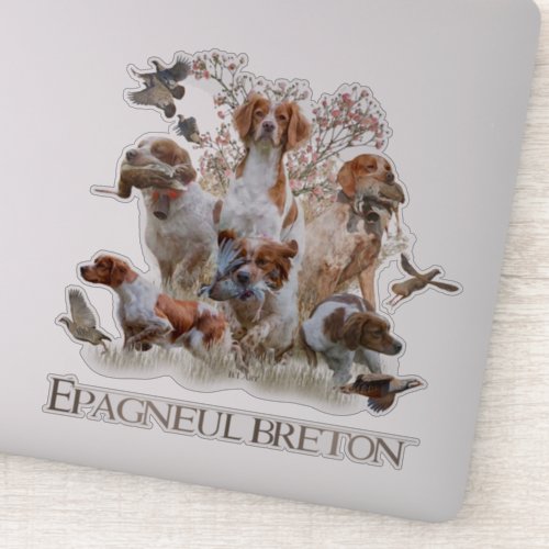 Epagneul Breton Brittany Spaniel   Sticker