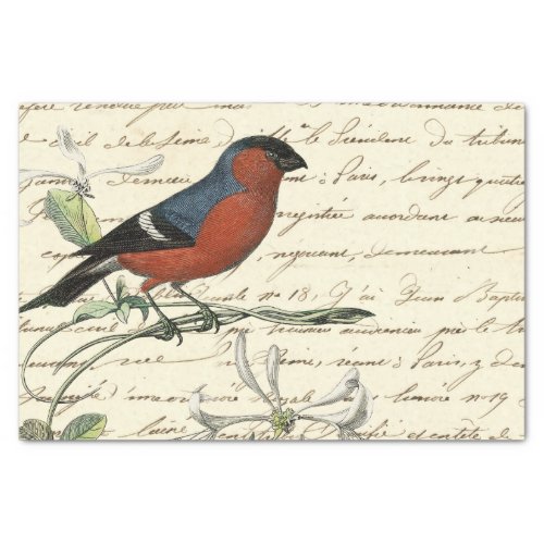 Ephemera Bird and Script Tissue Paper