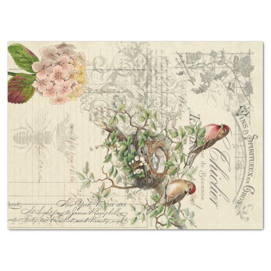 Ephemera Bird Decoupage Tissue Paper