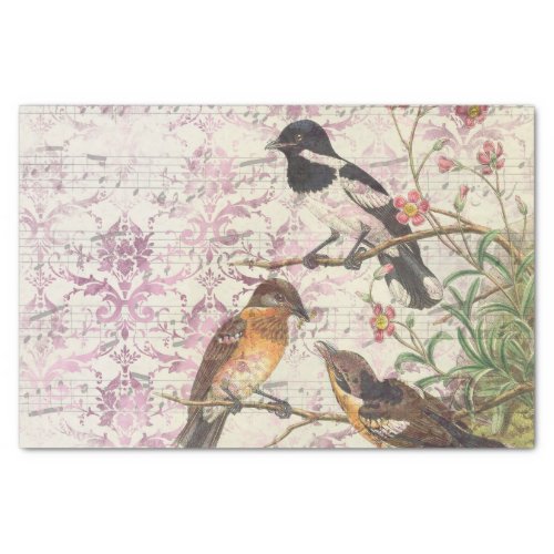 Ephemera Birds and Music Tissue Paper