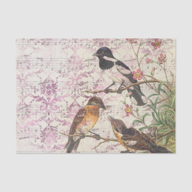 Ephemera Birds and Music Tissue Paper (Front)