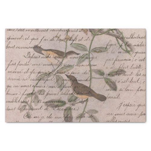 Ephemera Birds and Script Tissue Paper