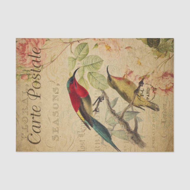 Ephemera Colorful Sunbirds Painting Decoupage Tissue Paper (Front)
