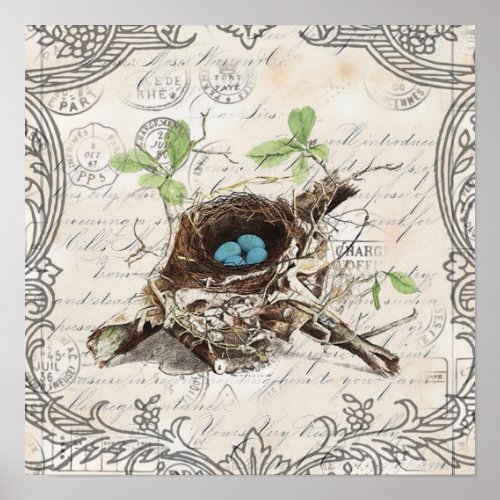 ephemera french botanical robin eggs bird nest poster