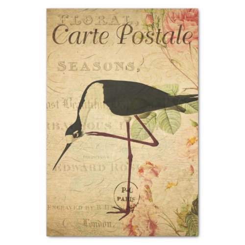 Ephemera French Postcard Avocet Bird Decoupage Tissue Paper