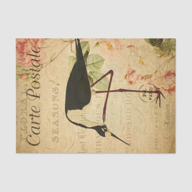 Ephemera French Postcard Avocet Bird Decoupage Tissue Paper (Front)