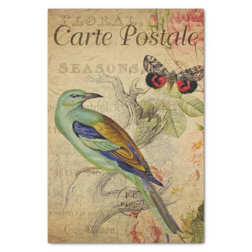 Ephemera French Postcard Bird Butterfly Decoupage  Tissue Paper