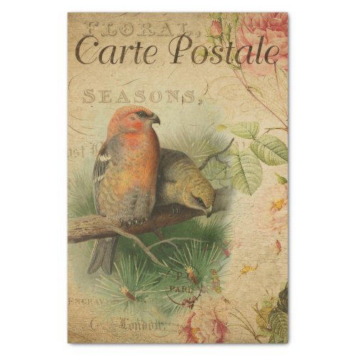 Ephemera French Postcard Birds Floral Decoupage  Tissue Paper