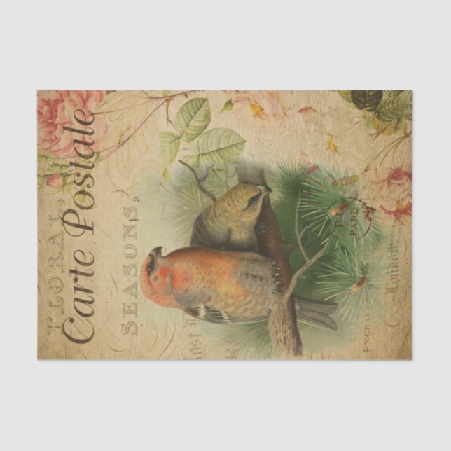 Ephemera French Postcard Birds Floral Decoupage  Tissue Paper (Front)