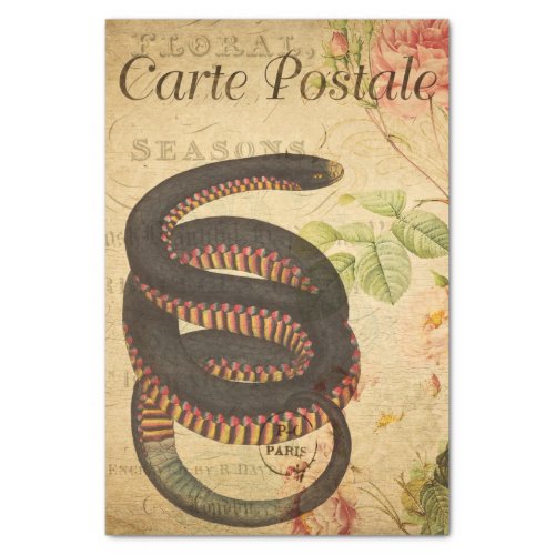 Ephemera French Postcard Black Snake Decoupage Tissue Paper