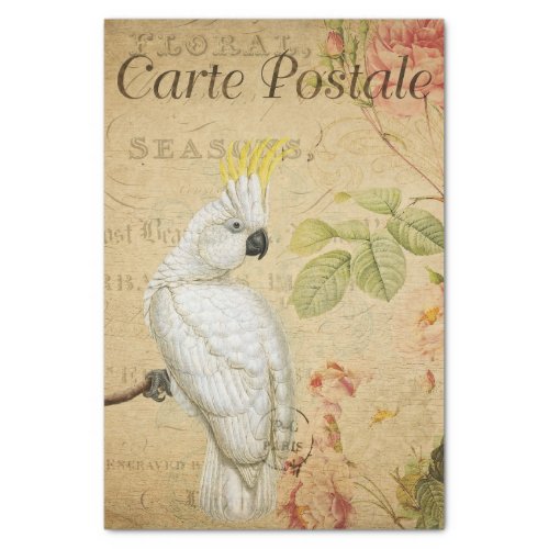 Ephemera French Postcard Cockatoo Bird Decoupage Tissue Paper