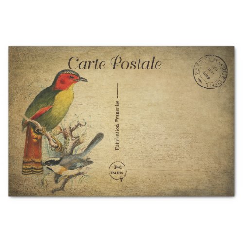 Ephemera French Postcard Colorful Birds Decoupage Tissue Paper