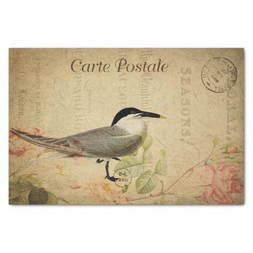 Ephemera French Postcard Cute Bird Decoupage Tissue Paper