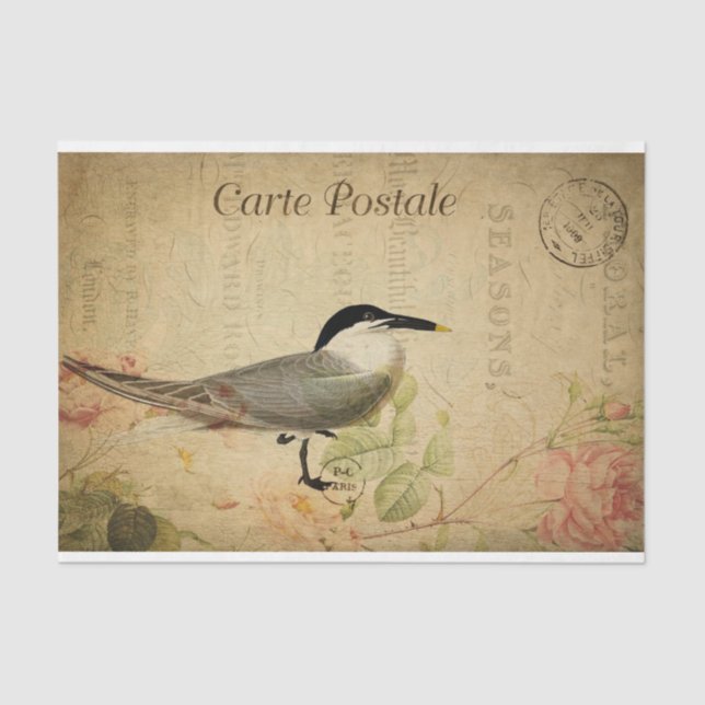 Ephemera French Postcard Cute Bird Decoupage Tissue Paper (Front)