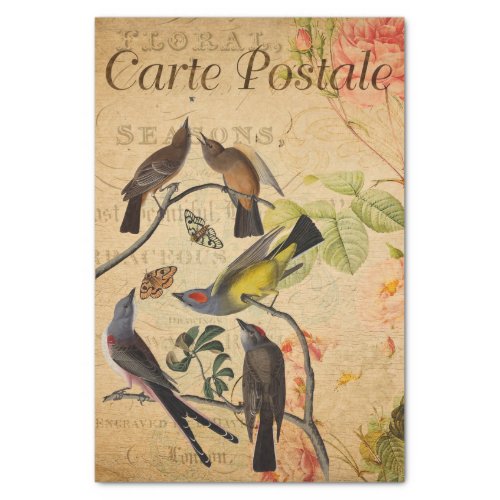Ephemera French Postcard Flycatcher Bird Decoupage Tissue Paper