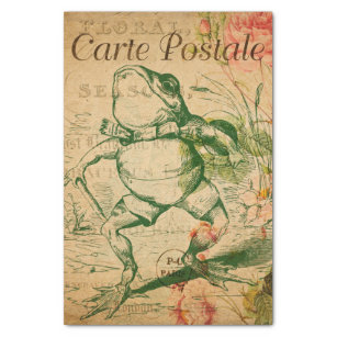 Vintage - Frog in His Finery,, Zazzle