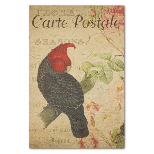 Ephemera French Postcard Ganga Cockatoo Decoupage Tissue Paper