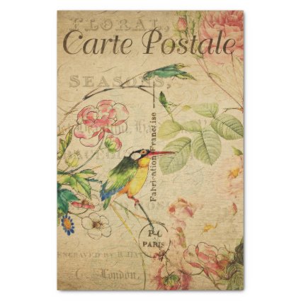 Ephemera French Postcard Kingfisher Bird Decoupage Tissue Paper