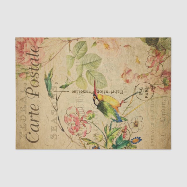 Ephemera French Postcard Kingfisher Bird Decoupage Tissue Paper (Front)