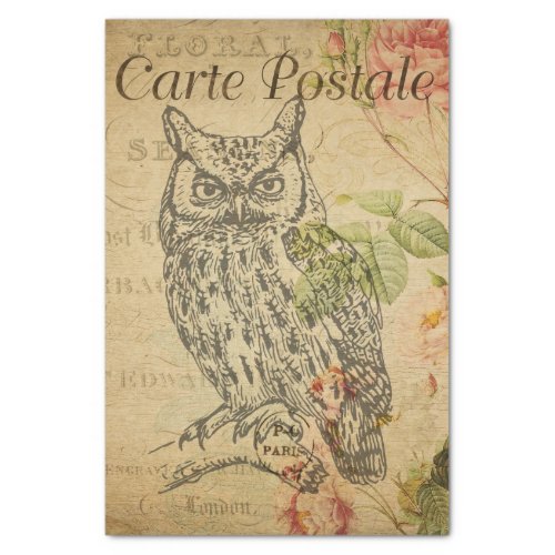 Ephemera French Postcard Line Art Owl Decoupage Tissue Paper