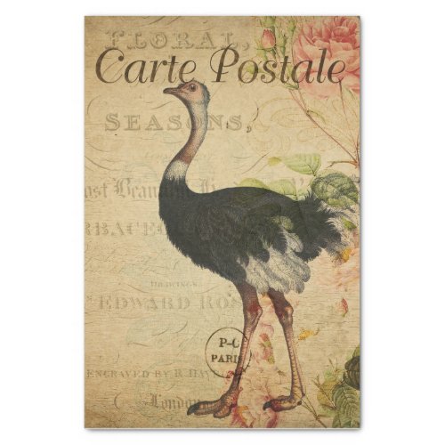 Ephemera French Postcard Ostrich Decoupage Tissue Paper