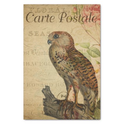 Ephemera French Postcard Owl on Branch Decoupage Tissue Paper