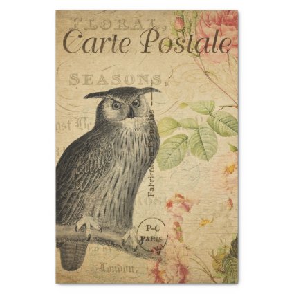 Ephemera French Postcard Owl Pink Roses Decoupage Tissue Paper