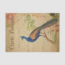 Ephemera French Postcard Peacock Decoupage