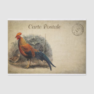 Ephemera French Postcard Rooster Chick Decoupage Tissue Paper
