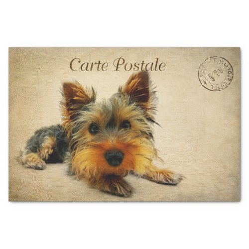 Ephemera French Postcard Terrier Dog Decoupage Tissue Paper