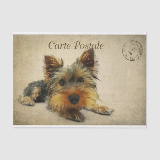 Ephemera French Postcard Terrier Dog Decoupage Tissue Paper (Front)