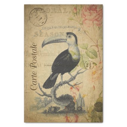 Ephemera French Postcard Toucan Bird Decoupage Tissue Paper