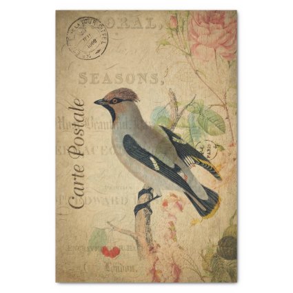 Ephemera French Postcard Waxwing Bird Decoupage 