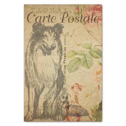 Ephemera FrenchPostcard Rough Collie Dog Decoupage Tissue Paper
