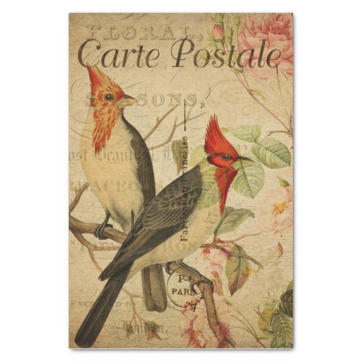 Ephemera Two Weaver Birds Pink Roses Decoupage