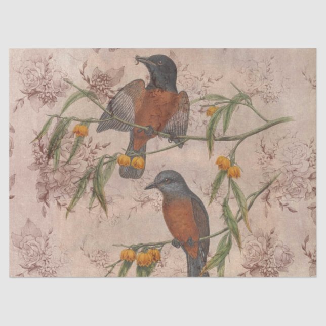 Ephemeral Birds Series Design Three Tissue Paper (Front)