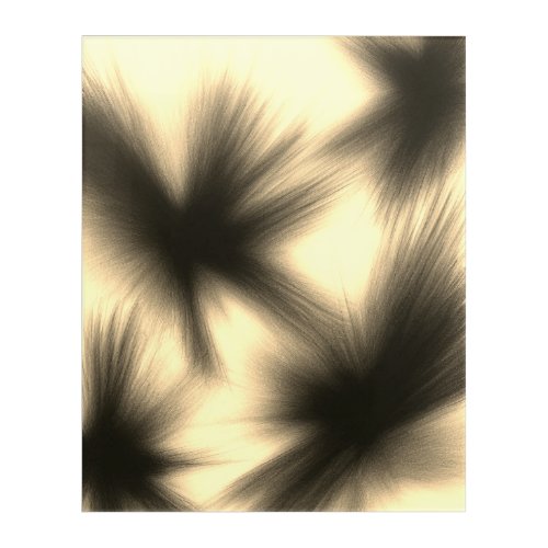 Ephemeral Shadows エフェメラルシャドウ Acrylic Print