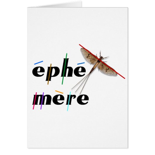 éphémère instantané cards (Front)