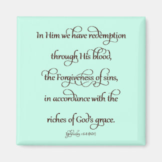Ephesians 1:6-8 magnet