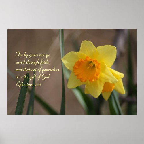 Ephesians 28 Biblical Verse with Yellow Daffodil Poster